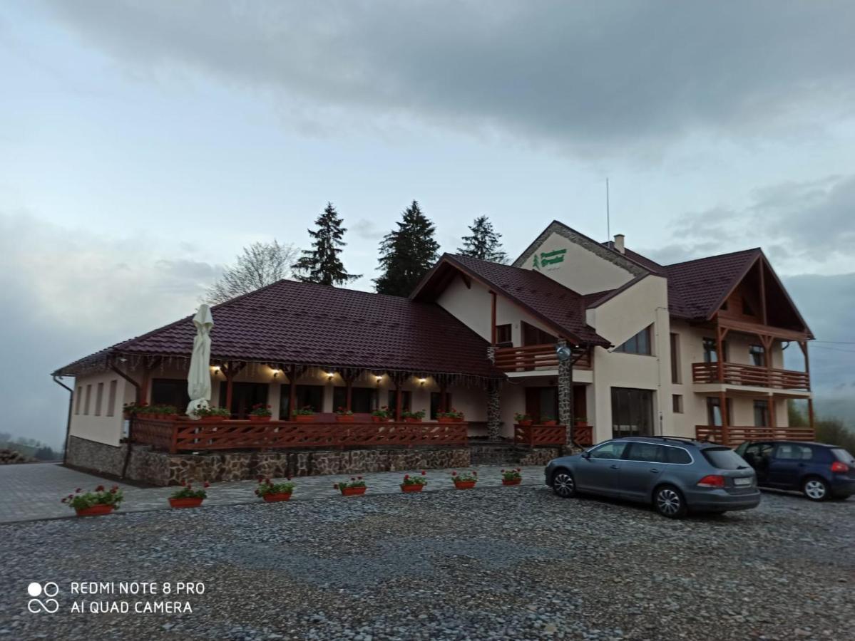 Pensiunea Bradul Dealu Stefanitei Экстерьер фото